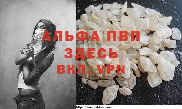 стаф Володарск