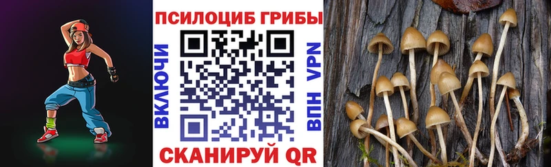 omg рабочий сайт  Новохопёрск  Псилоцибиновые грибы MAGIC MUSHROOMS 