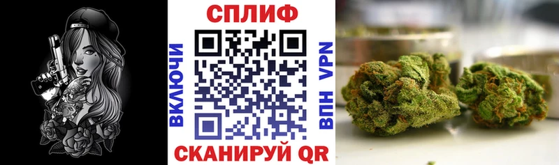 Конопля гибрид  Новохопёрск 